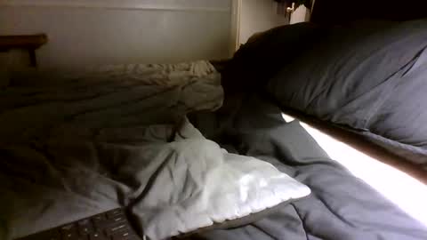 Snapshot of jamacianmehorny chatting on 09.30.25 Jamacian online show from 09.30.25