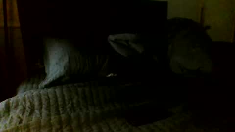 Snapshot of jamacianmehorny chatting on 11.07.25 Jamacian online show from 11.07.25