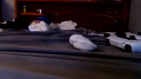 what you in too online show from 09.20.25