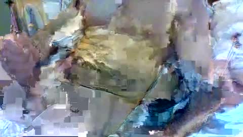 Snapshot of jameswhite5001 chatting on 02.08.25 jameswhite5001 online show from 02.08.25