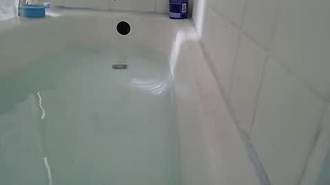 Bootyshows online show from 02.22.26