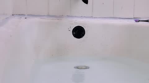 Bootyshows online show from 03.01.26