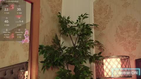 JaneDevine online show from 12.18.24