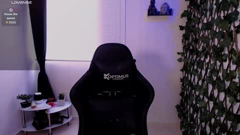 JKing  online show from 02.11.26