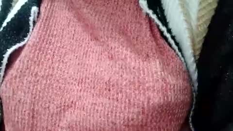 jasspreettt online show from 02.01.25