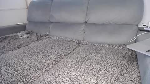 Snapshot of javierandaniel chatting on 12.05.24 Javier online show from 12.05.24