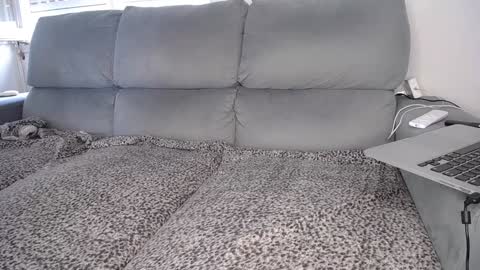 Snapshot of javierandaniel chatting on 12.07.24 Javier online show from 12.07.24