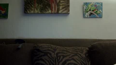 jay-jay1475 online show from 01.01.25