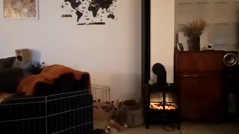 jaycat73 online show from 01.31.25