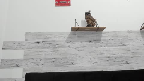 Jaycreedd online show from 01.03.25