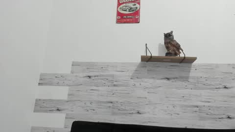 Jaycreedd online show from 02.20.25