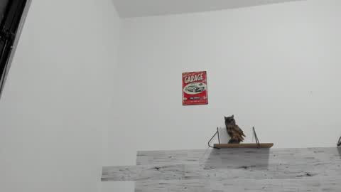 Jaycreedd online show from 10.25.25