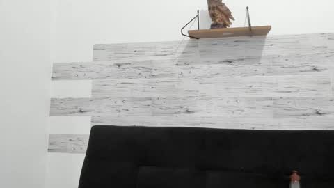 Jaycreedd online show from 10.26.25