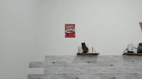 Jaycreedd online show from 11.30.25