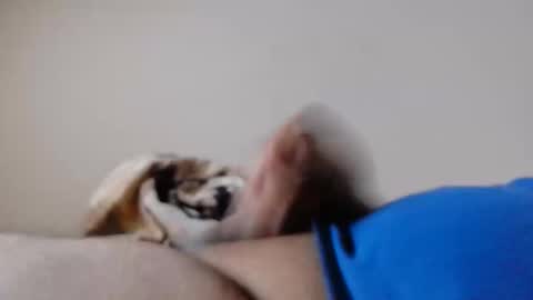 Snapshot of jayl458 chatting on 03.10.25 jayl458 online show from 03.10.25