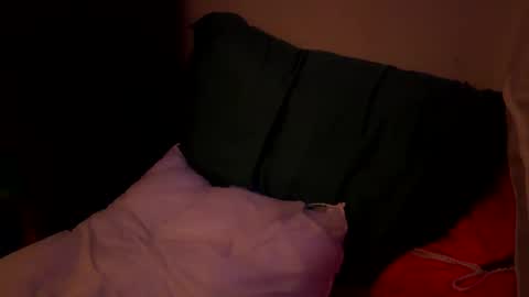 Snapshot of jaysobricked chatting on 10.06.25 Jaysobricked online show from 10.06.25