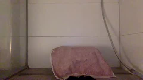 Hafte online show from 10.09.25