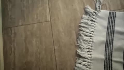 jbigblue online show from 01.11.26