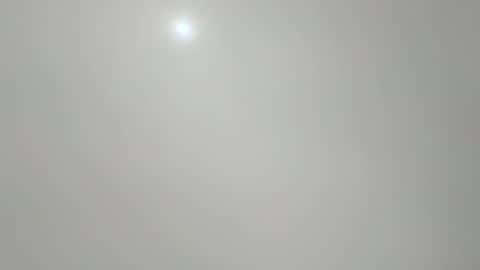 jcb2504 online show from 11.04.25