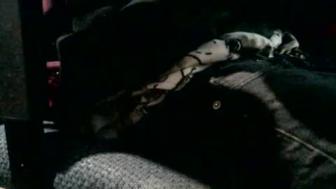 Snapshot of jebblynch42 chatting on 02.19.26 JJ Banks online show from 02.19.26