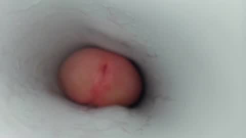 jeffrodgerschaturbat online show from 01.17.26