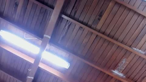 Snapshot of jeicob_gagnon chatting on 01.28.25 jeicob gagnon online show from 01.28.25