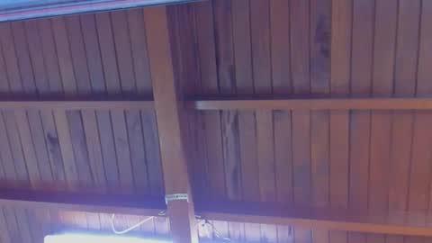 Snapshot of jeicob_gagnon chatting on 02.21.25 jeicob gagnon online show from 02.21.25