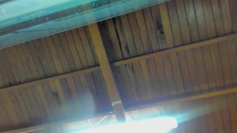 Snapshot of jeicob_gagnon chatting on 09.15.25 jeicob gagnon online show from 09.15.25