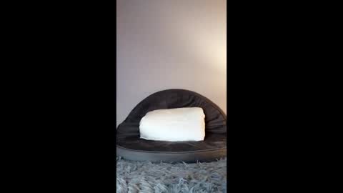 Jenny Star online show from 02.08.26