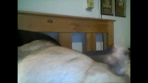 jerkmate6666 online show from 05.15.26