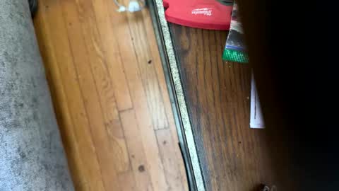 Jeremys room chill and puff one enjoy online show from 01.12.26