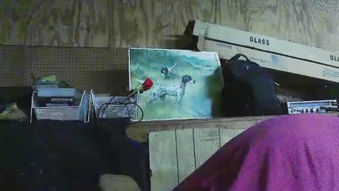 Snapshot of jessiehammerdik chatting on 03.06.25 Dixon Cider online show from 03.06.25