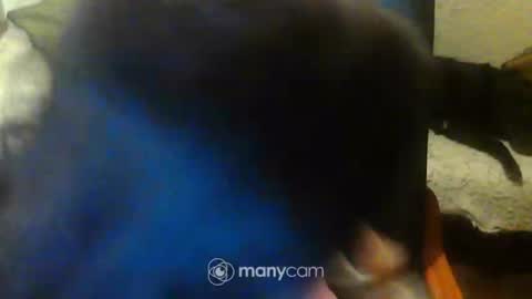 jessjess4you online show from 02.15.25