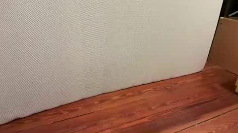 me online show from 01.16.26