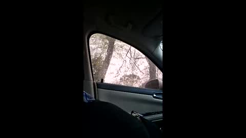 jgthagr8 online show from 03.04.26