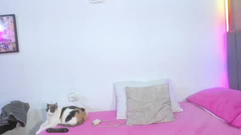 jhackelin  My independent account online show from 04.19.26