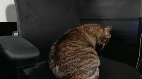 jhnbsomersxh0v1 online show from 03.30.26