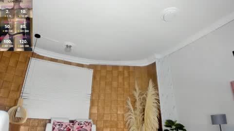 Snapshot of jhonaldsw chatting on 01.05.25 jhonaldsw online show from 01.05.25