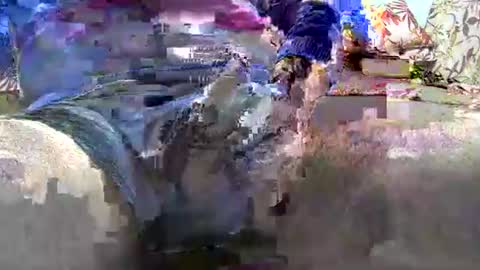 Snapshot of jimii281 chatting on 01.12.26 jimii281 online show from 01.12.26