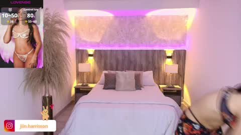 Jin Harrison    online show from 04.17.26