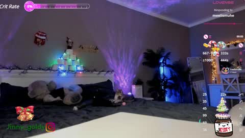 Snapshot of jinny_gold chatting on 12.28.24 MY NEW INSTA jinny goldy online show from 12.28.24