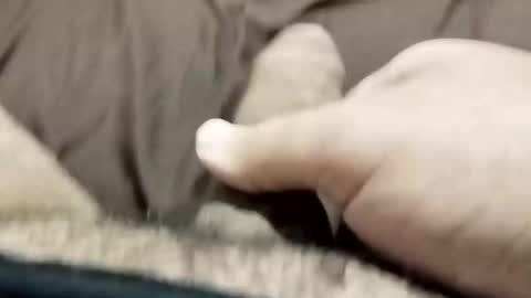 Snapshot of jj3377 chatting on 10.26.25 jj3377 online show from 10.26.25