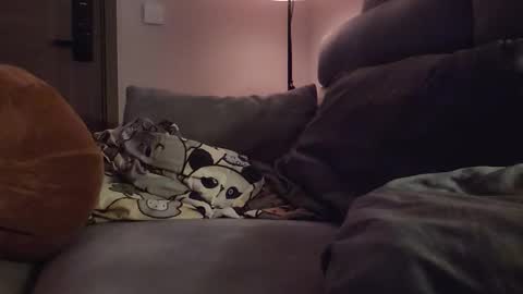 jj_jayjayq online show from 02.08.26