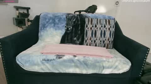 Nicole  Allen online show from 01.01.25