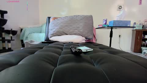 Nicole  Allen online show from 09.18.25