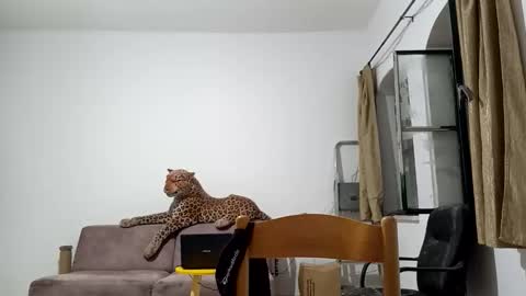 Snapshot of jlmbud chatting on 10.20.25 jlmbud online show from 10.20.25