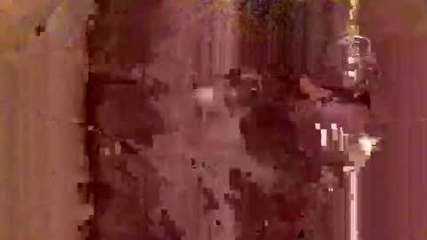 Snapshot of jodlsepp chatting on 12.12.24 jodlsepp online show from 12.12.24