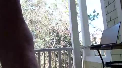 joesmithward online show from 02.08.26