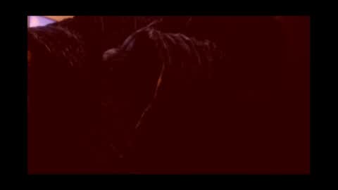 Joeygumbo online show from 01.03.25