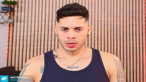 johan speitzer online show from 04.07.26